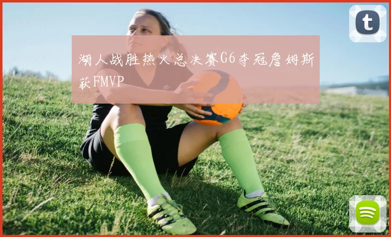 湖人战胜热火总决赛G6夺冠詹姆斯获FMVP