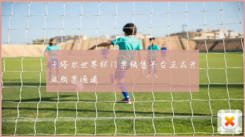 卡塔尔世界杯门票销售平台正式开放购票通道