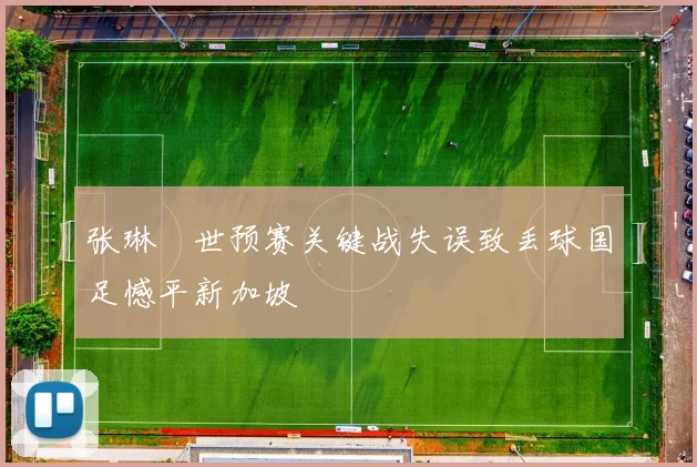 张琳芃世预赛关键战失误致丢球国足憾平新加坡