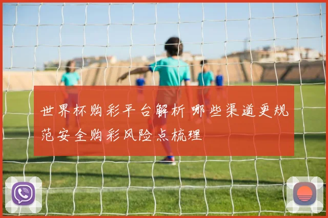 世界杯购彩平台解析 哪些渠道更规范安全购彩风险点梳理