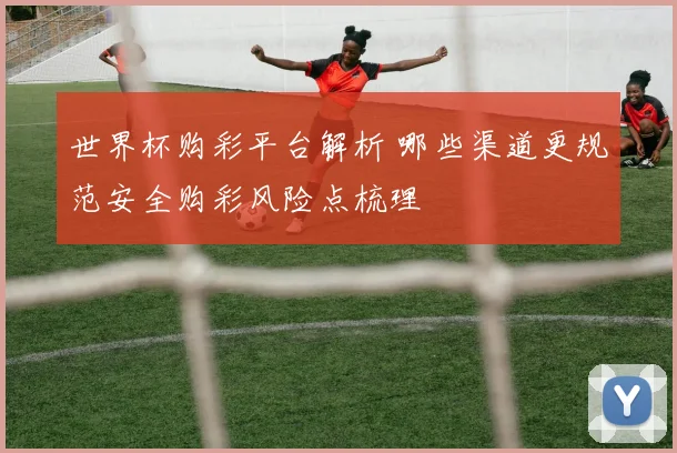 世界杯购彩平台解析 哪些渠道更规范安全购彩风险点梳理
