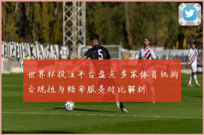 世界杯投注平台盘点 多家体育机构合规性与赔率服务对比解析