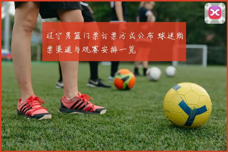 辽宁男篮门票订票方式公布 球迷购票渠道与观赛安排一览