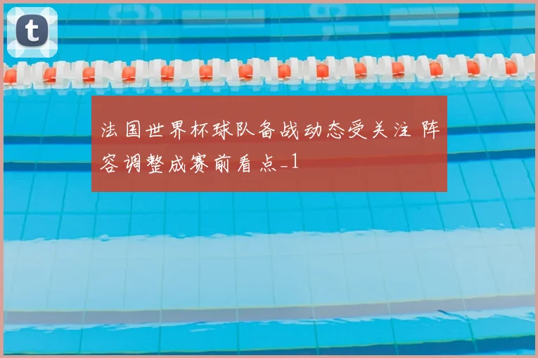 法国世界杯球队备战动态受关注 阵容调整成赛前看点_1