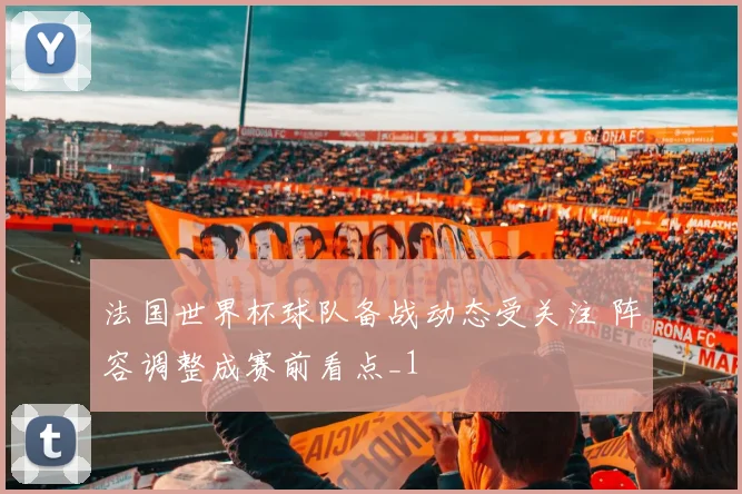 法国世界杯球队备战动态受关注 阵容调整成赛前看点_1